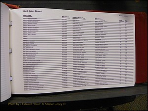 Burke Births, 1913-2001, A-L 1329.JPG