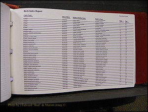 Burke Births, 1913-2001, A-L 1335.JPG
