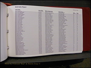 Burke Births, 1913-2001, A-L 1373.JPG