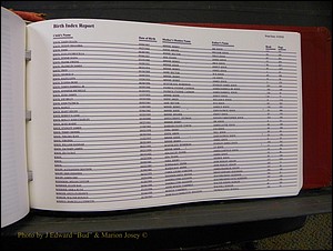 Burke Births, 1913-2001, A-L 1380.JPG
