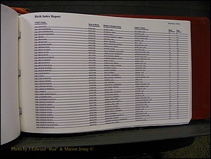 Burke Births, 1913-2001, A-L 1389.JPG
