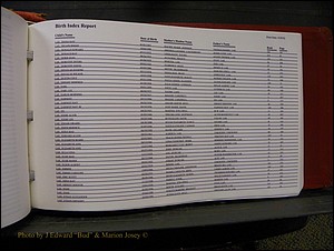 Burke Births, 1913-2001, A-L 1391.JPG