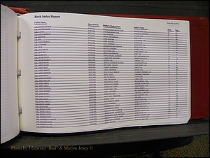Burke Births, 1913-2001, A-L 1395.JPG