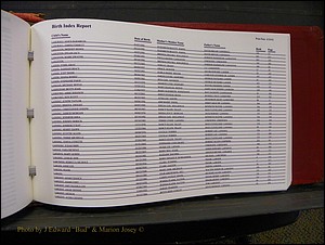 Burke Births, 1913-2001, A-L 1419.JPG