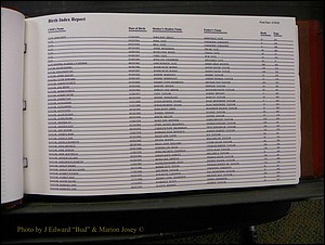 Burke Births, 1913-2001, M-Z 775.JPG