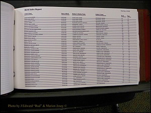 Burke Births, 1913-2001, M-Z 809.JPG