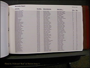 Burke Births, 1913-2001, M-Z 834.JPG