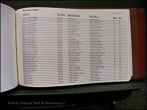 Burke Births, 1913-2001, M-Z 966.JPG