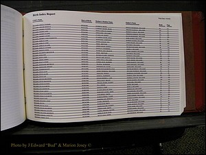 Burke Births, 1913-2001, M-Z 982.JPG