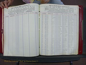 Cleveland Co, NC Delayed Births Thru 1960 (99).JPG