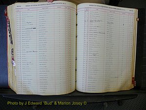 Edgecombe Births, A-Z, 1914-1933 (393).JPG