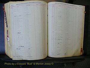 Edgecombe Births, A-Z, 1914-1933 (419).JPG