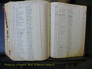 Edgecombe Births, A-Z, 1914-1933 (458).JPG