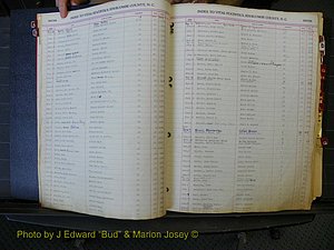 Edgecombe Births, A-Z, 1934-1949 (119).JPG