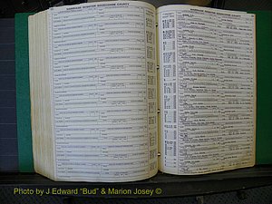 Edgecombe Marriages, A-E, 1867-1937 (432).JPG