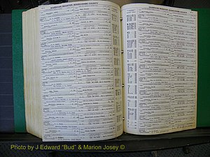 Edgecombe Marriages, A-E, 1867-1937 (445).JPG
