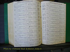 Edgecombe Marriages, A-E, 1867-1937 (448).JPG