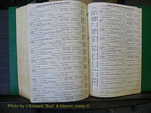 Edgecombe Marriages, A-E, 1867-1937 (450).JPG