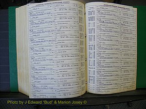 Edgecombe Marriages, A-E, 1867-1937 (455).JPG