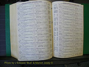 Edgecombe Marriages, A-E, 1867-1937 (456).JPG