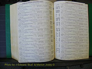 Edgecombe Marriages, A-E, 1867-1937 (459).JPG