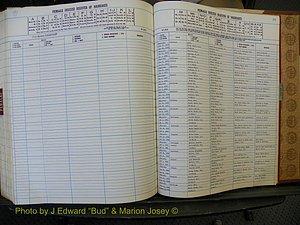 Edgecombe Marriages, A-Z, 1979-1986 (379).JPG