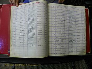 Haywood Births, H-Z, 1939 + 034.JPG