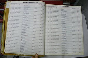 Henderson Co, NC, Births A - Z, 1914 - 1942, (016).JPG