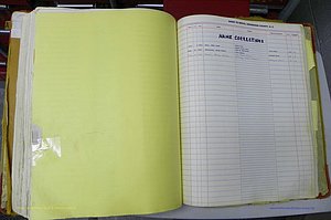 Henderson Co, NC, Births A - Z, 1914 - 1942, (230).JPG