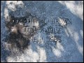 Brown, Dorothy L Stephens, Northside Cem, Bryan Co, GA.jpg