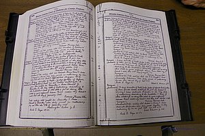 Laurens Co, GA Marriages 1809 - 1885, P 254-255.JPG