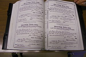 Laurens Co, GA, Marriages 1870 - 1879, P 252-253.JPG