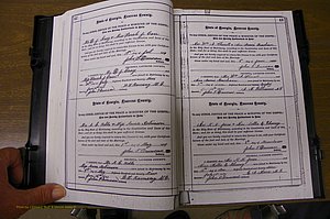 Laurens Co, GA, Marriages 1879 - 1886, P 042-043.JPG