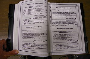 Laurens Co, GA, Marriages 1879 - 1886, P 052-053.JPG