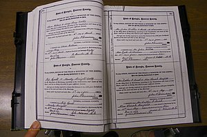 Laurens Co, GA, Marriages 1879 - 1886, P 080-081.JPG