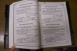 Laurens Co, GA, Marriages 1879 - 1886, P 094-095.JPG