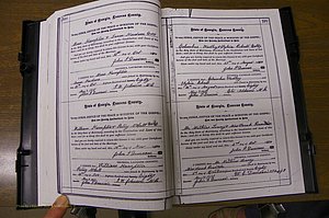 Laurens Co, GA, Marriages 1879 - 1886, P 100-101.JPG