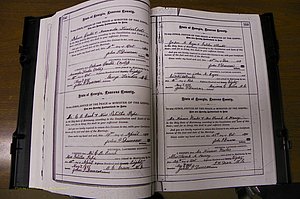Laurens Co, GA, Marriages 1879 - 1886, P 102-103.JPG