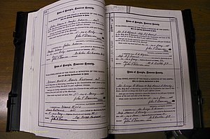 Laurens Co, GA, Marriages 1879 - 1886, P 116-117.JPG
