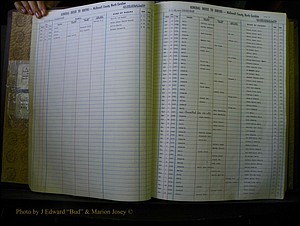McDowell Births & Deaths 029.JPG