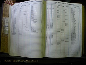 McDowell Births & Deaths 037.JPG