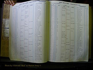 McDowell Births & Deaths 040.JPG