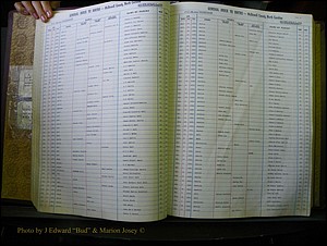 McDowell Births & Deaths 045.JPG