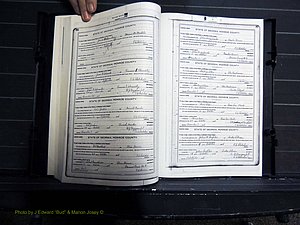 Monroe Co, GA, Marriages, Book H, 1907-1913 pg 086-087.JPG