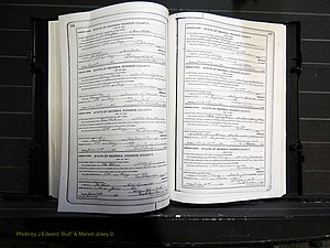Monroe Co, GA, Marriages, Book I, 1917-1922 pg 154-155.JPG