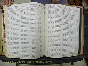 Northampton Births (207).JPG
