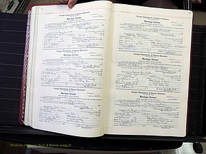 Peach Co, GA, Marriages, Book F, 1980-1995 pg 032-033.JPG