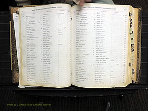 Rockingham Co, NC, Births, 1913-1928 (127).JPG