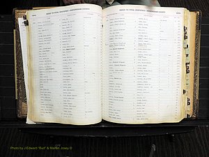 Rockingham Co, NC, Births, 1913-1928 (152).JPG