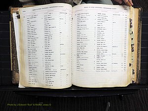 Rockingham Co, NC, Births, 1913-1928 (159).JPG